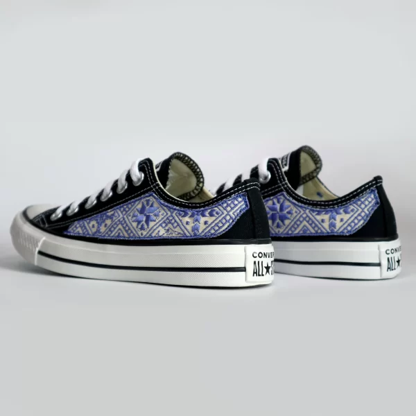 Aster - Image 3